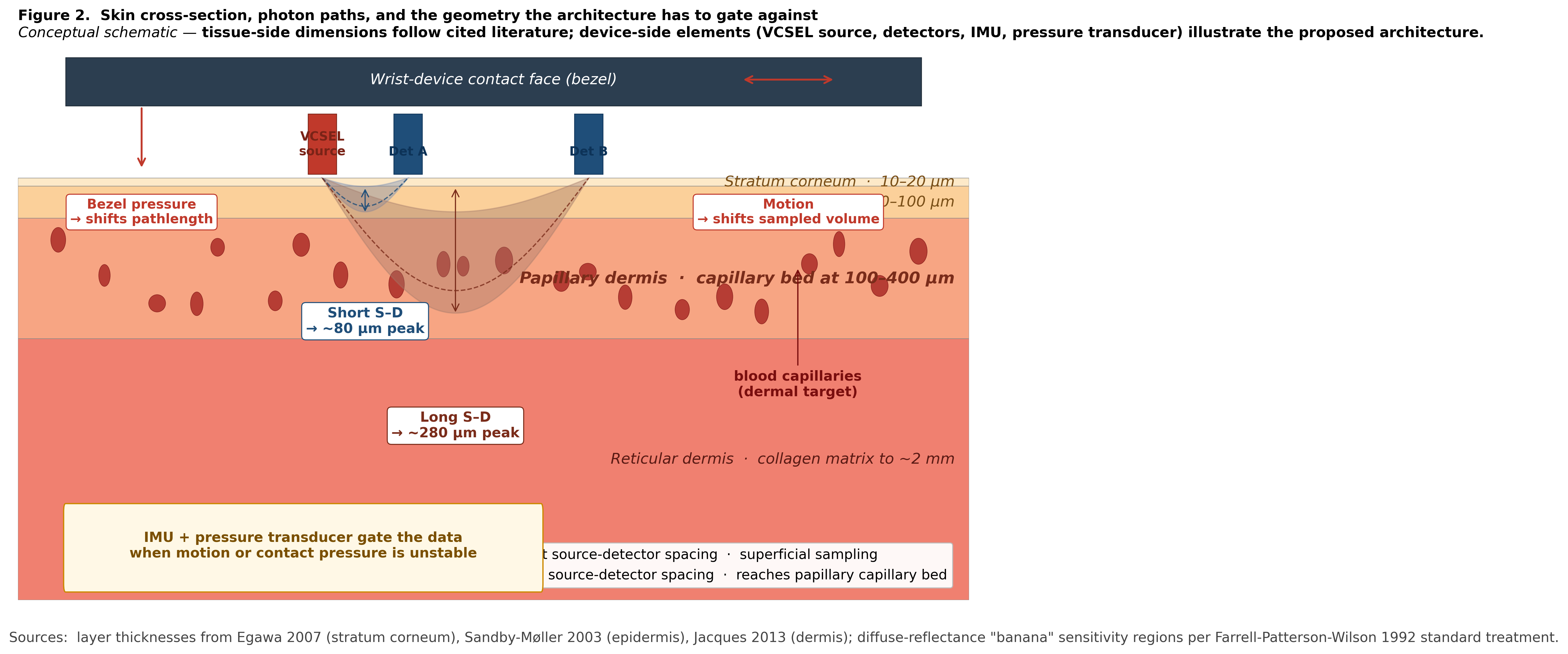 Figure 2. Skin cross-section, photon paths, and the geometry the architecture has to gate against.